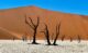 sossusvlei